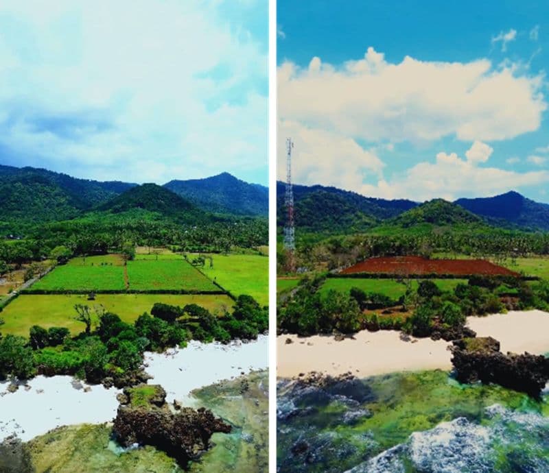 land