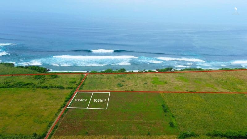 land